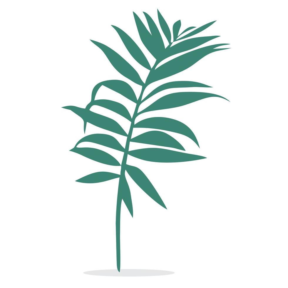 vector or coconut or palm leaves in green color on white background.