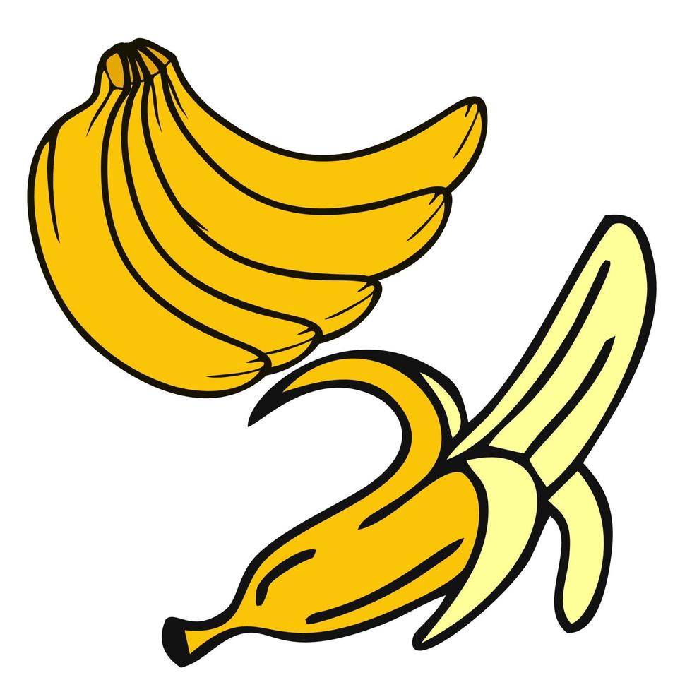 Set of cartoon banana images single skin, peel and banana on the ground. Collection of vector clip art illustrations