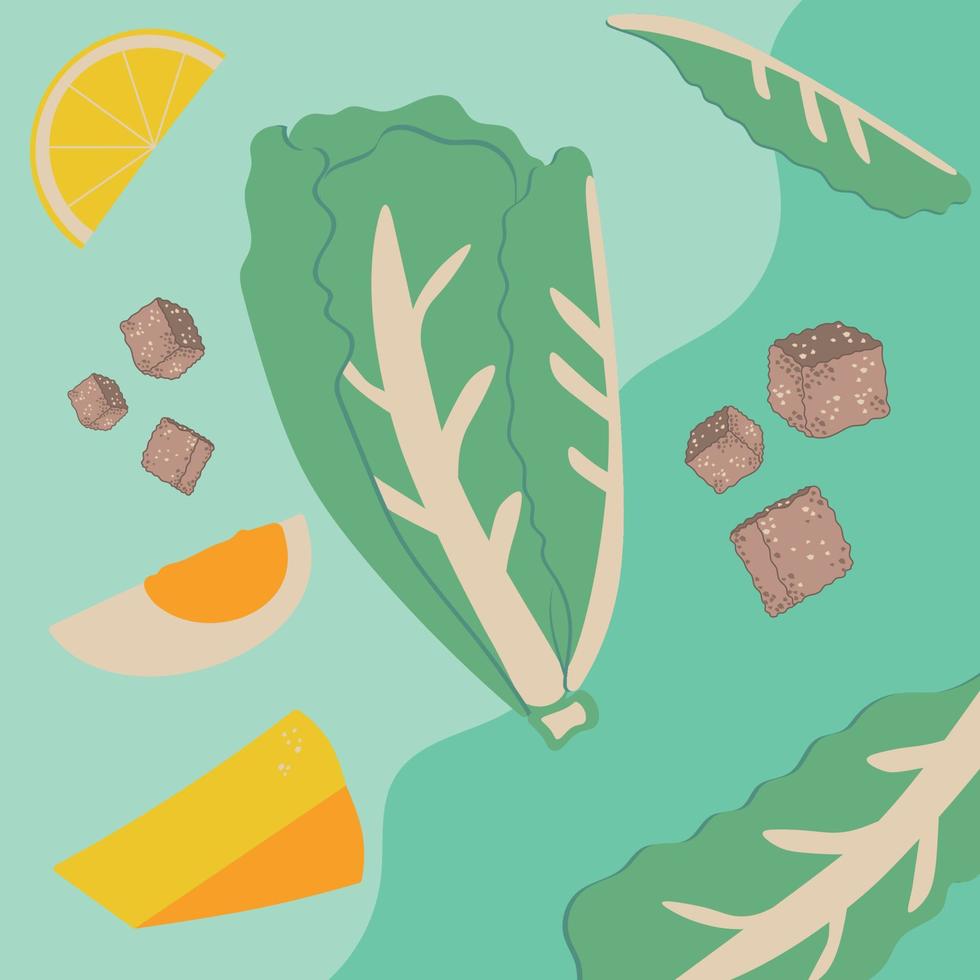 Caesar salad green lettuce ingredients illustration vector