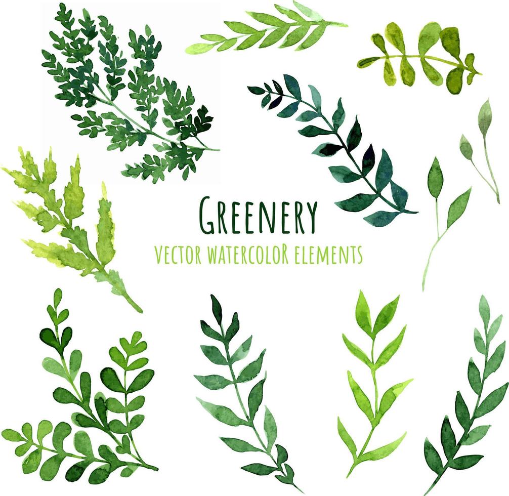 varias hojas y ramas de acuarela verde, elementos de diseño de acuarela dibujados a mano. ilustración vectorial elementos perfectos para patrones, tarjetas de felicitación, invitaciones. vector