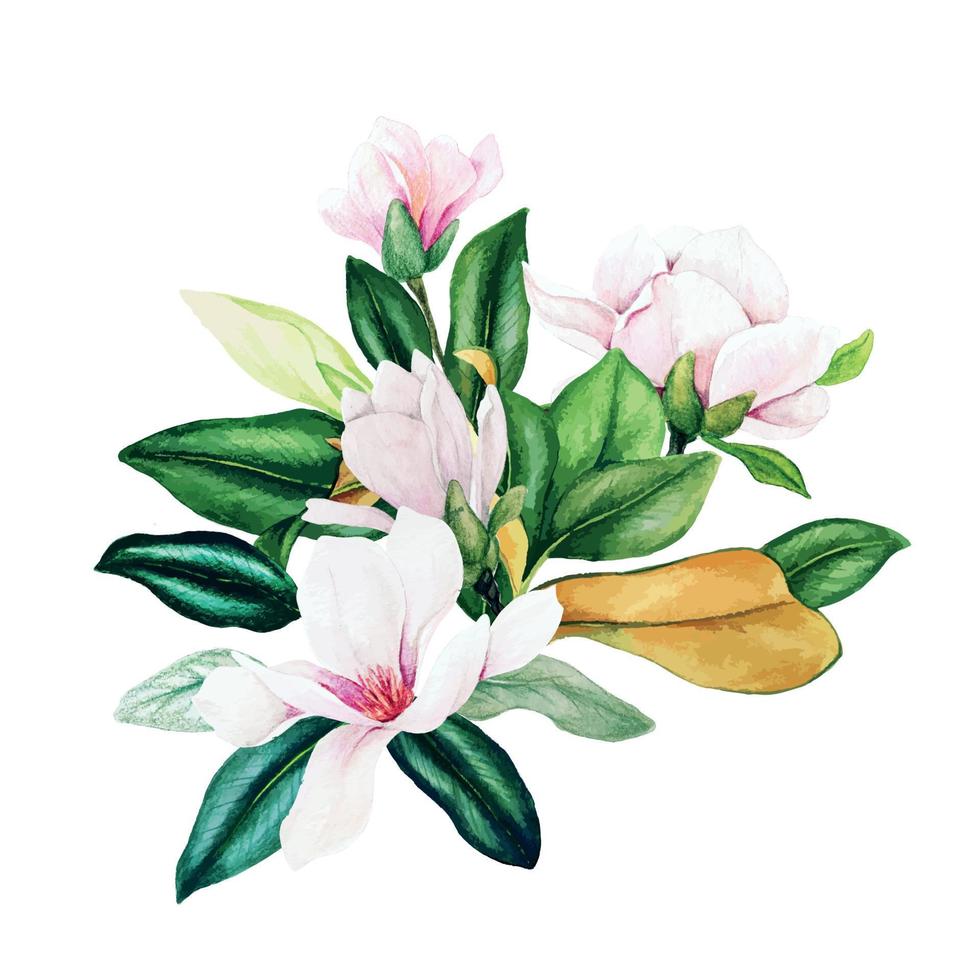 Magnolia and leaves, bright watercolor bouquet, hand drawn vector illustration