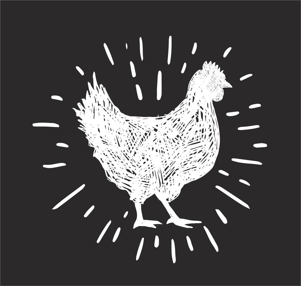 Chicken hand drawn illustration, Vector illustration.