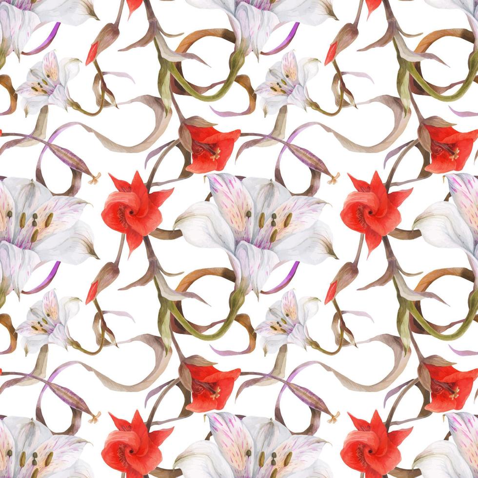 Calochortus and alstromeria seamless pattern, traced watercolor with white background vector