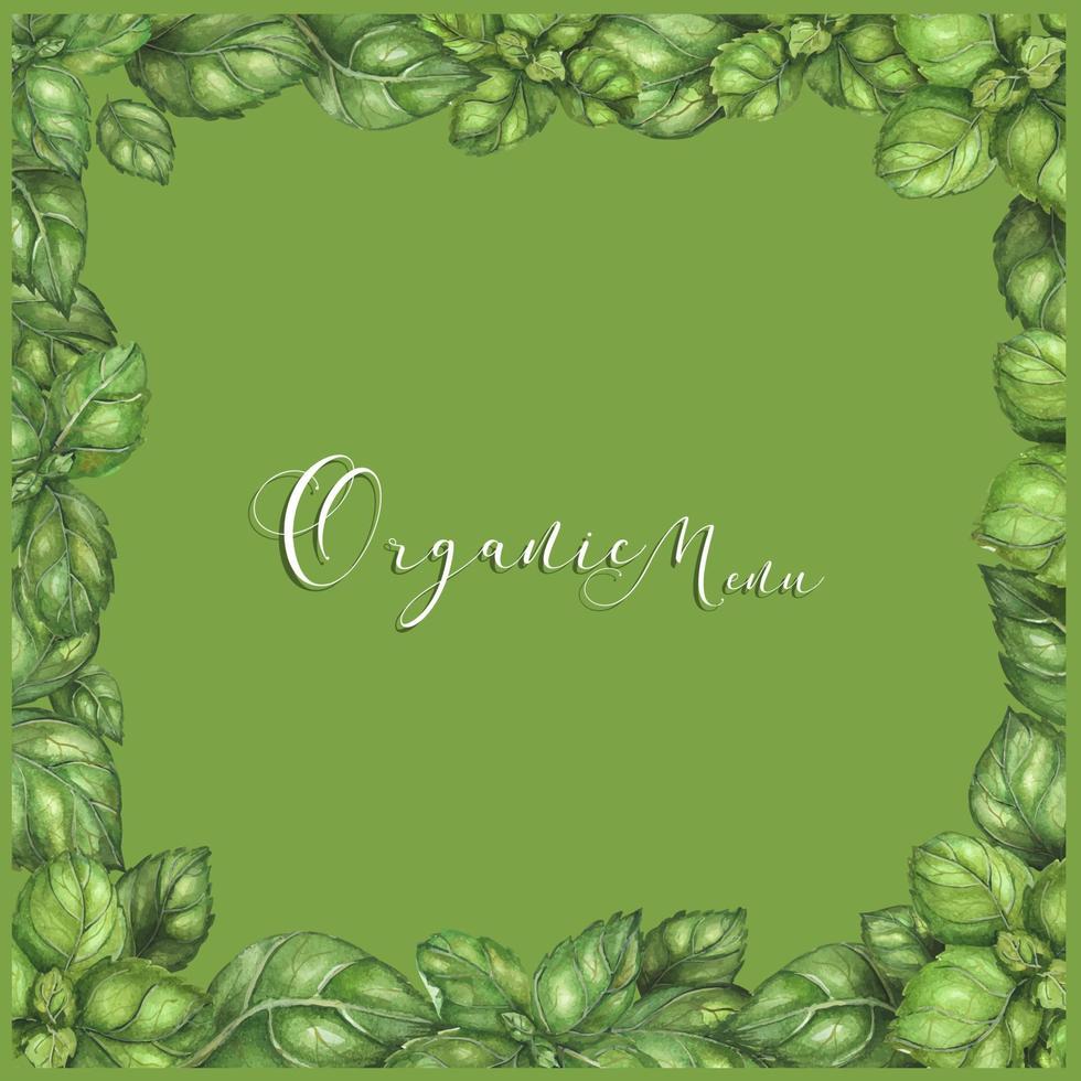 Watercolor frame with green basil leaves on a white background vector