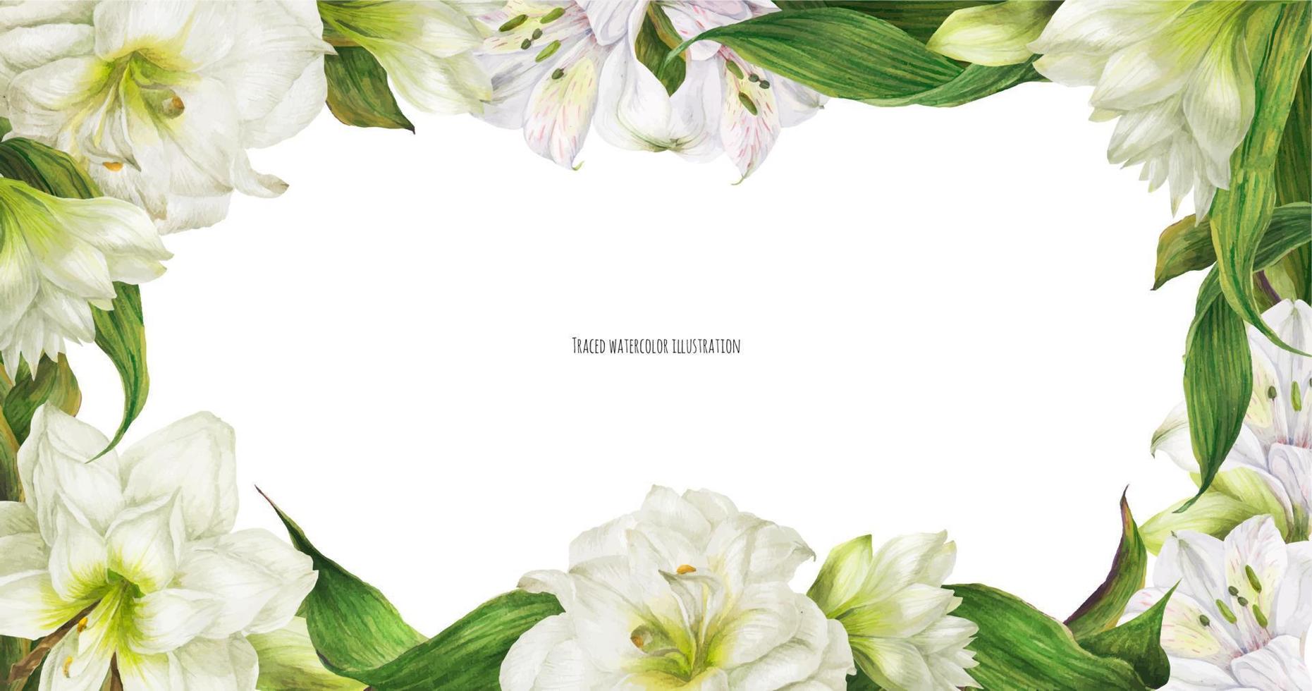 Floral bridal banner with white alstroemeria and hippeastrum flowers, realistic traced illustration vector