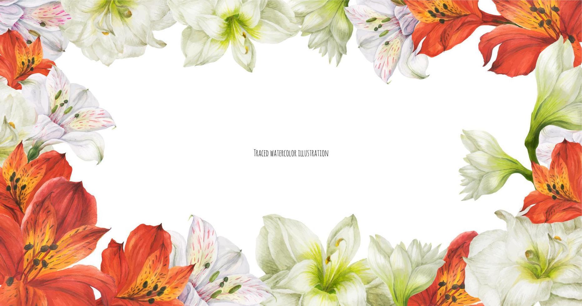 Floral wreath with red and white lily flowers, realistic traced illustration vector