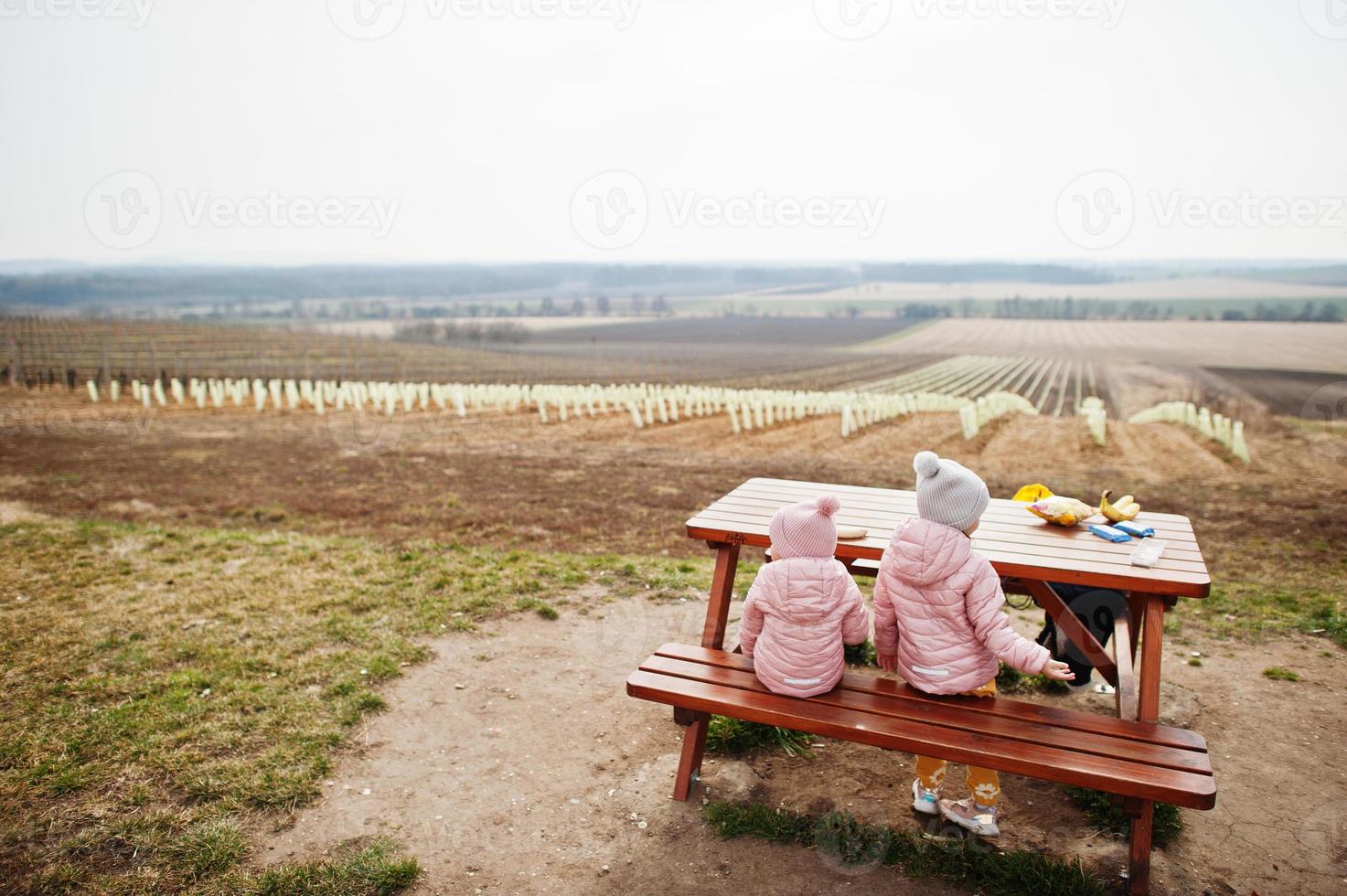 la parte posterior de dos niñas se sienta en una mesa de madera contra un viñedo. foto