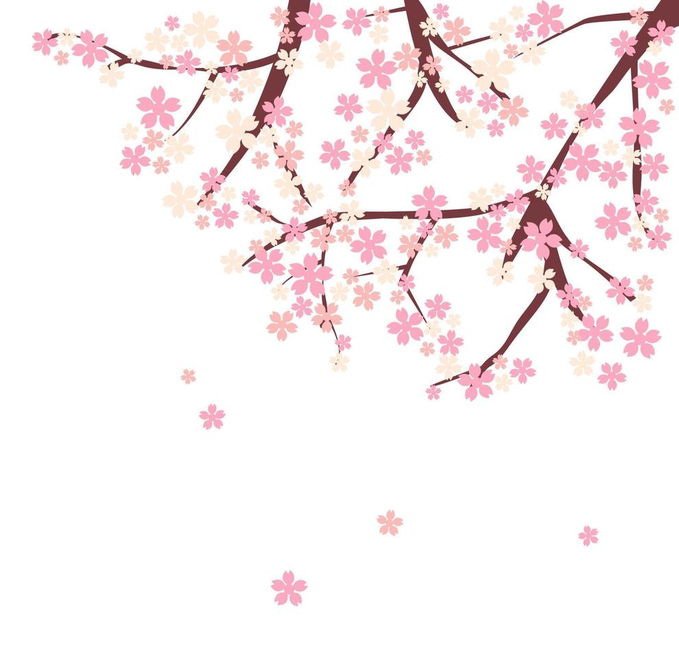 vector flor de cerezo flor rosa