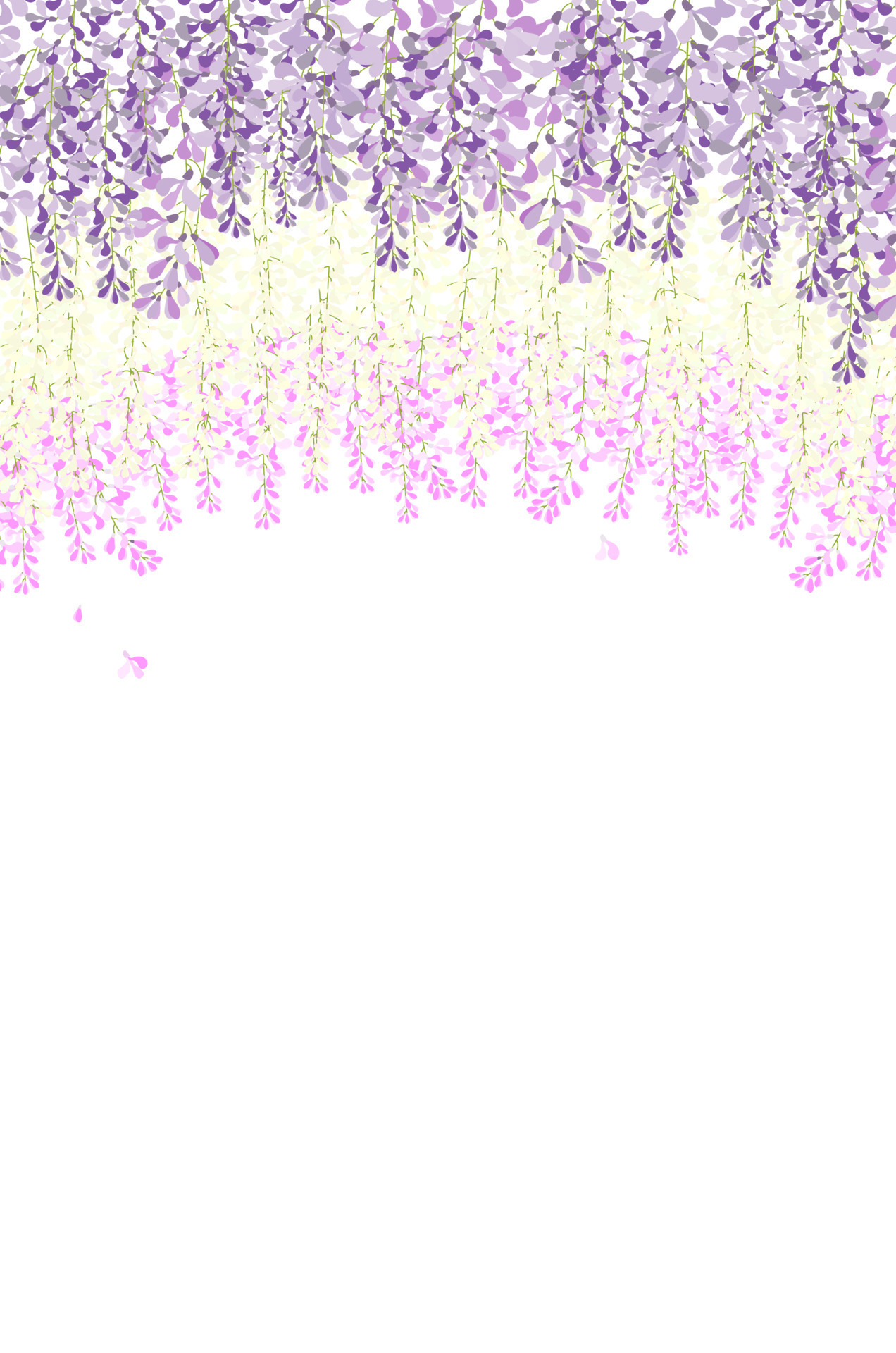 vector wisteria beautiful flower 7706727 Vector Art at Vecteezy