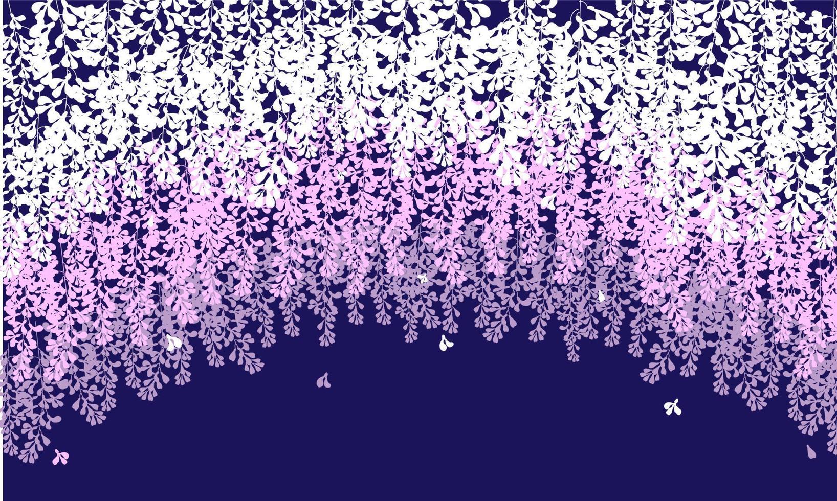 vector wisteria beautiful flower