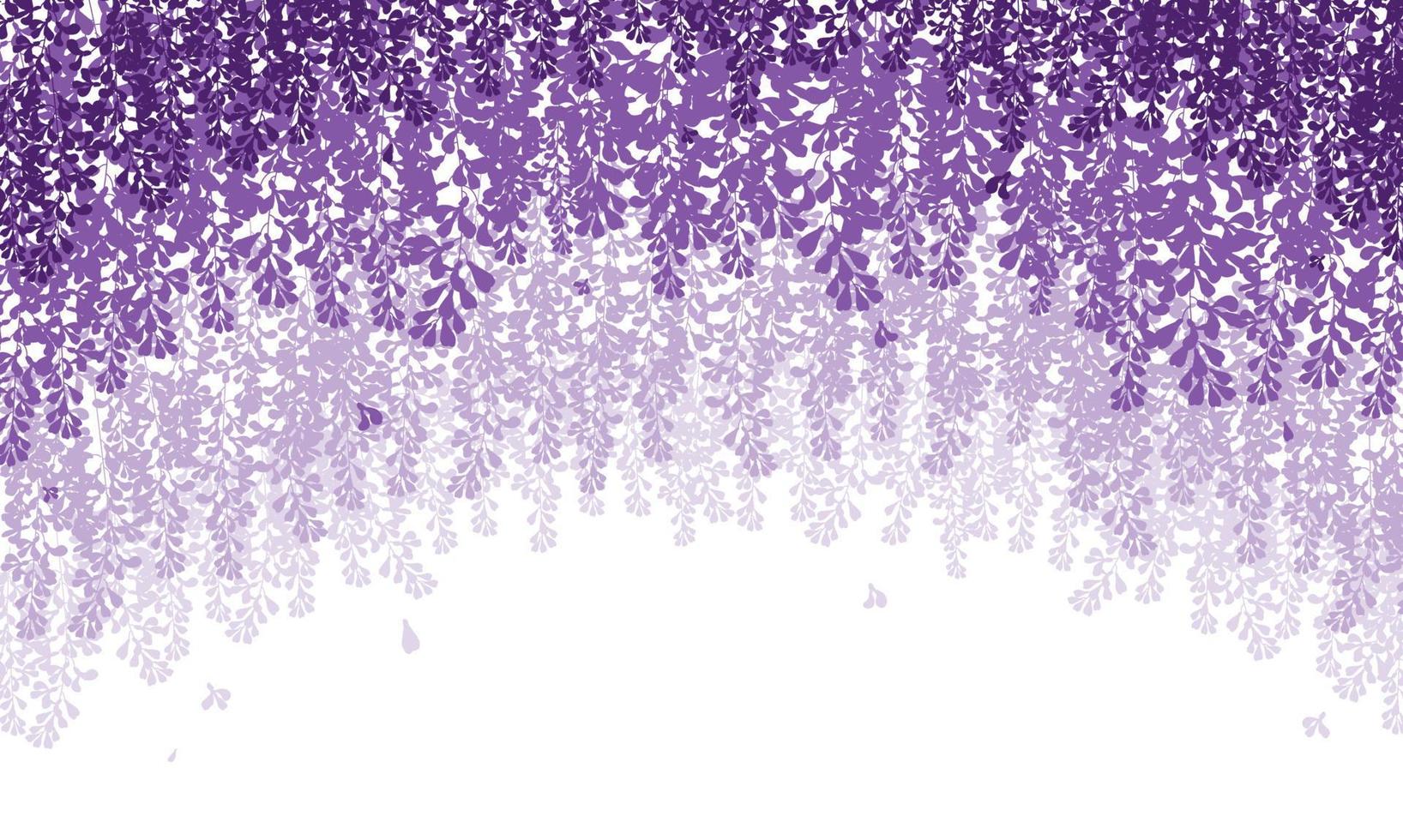 vector wisteria beautiful flower