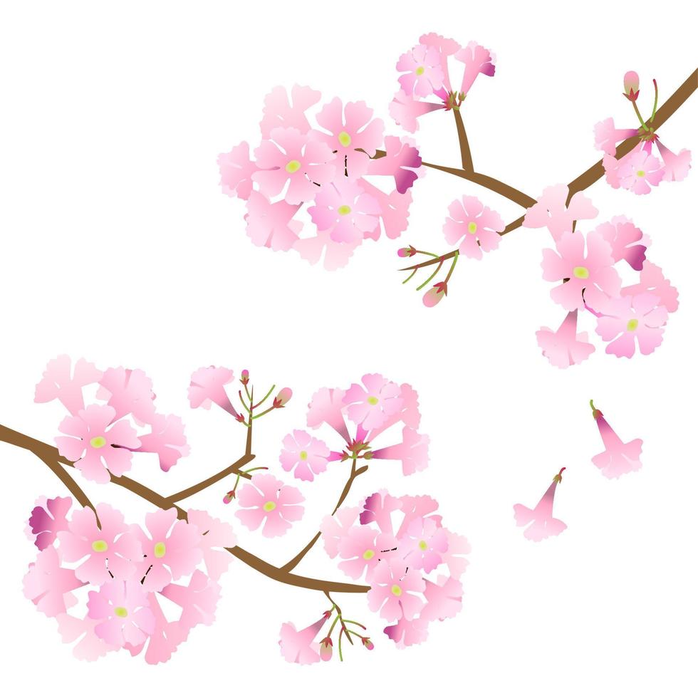 vector pink trumpet flower