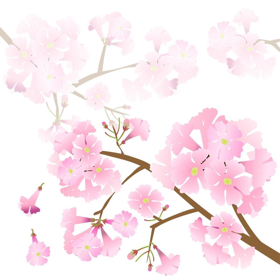 vector pink trumpet flower