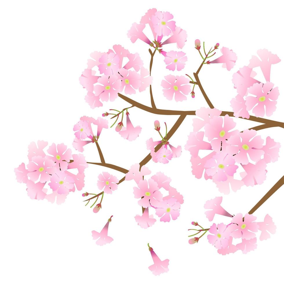 vector pink trumpet flower
