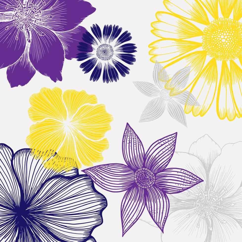 vector drawing and line  flower