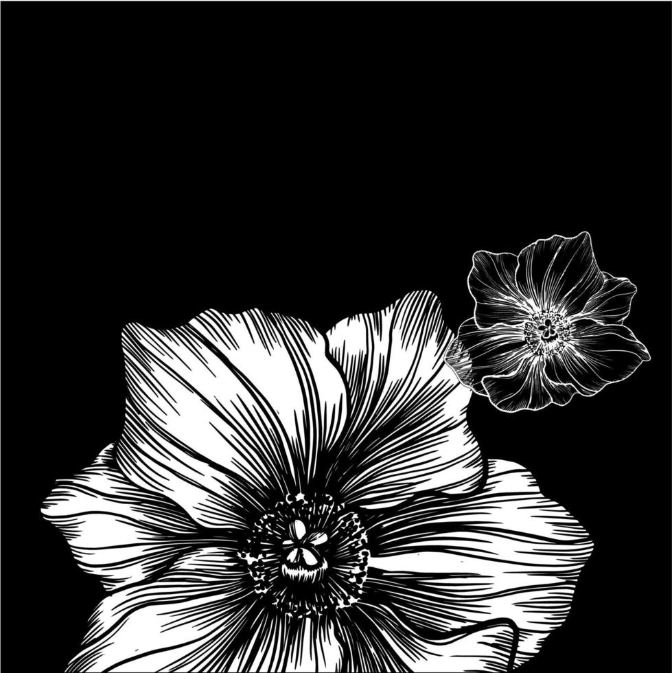 vector drawing and line  flower