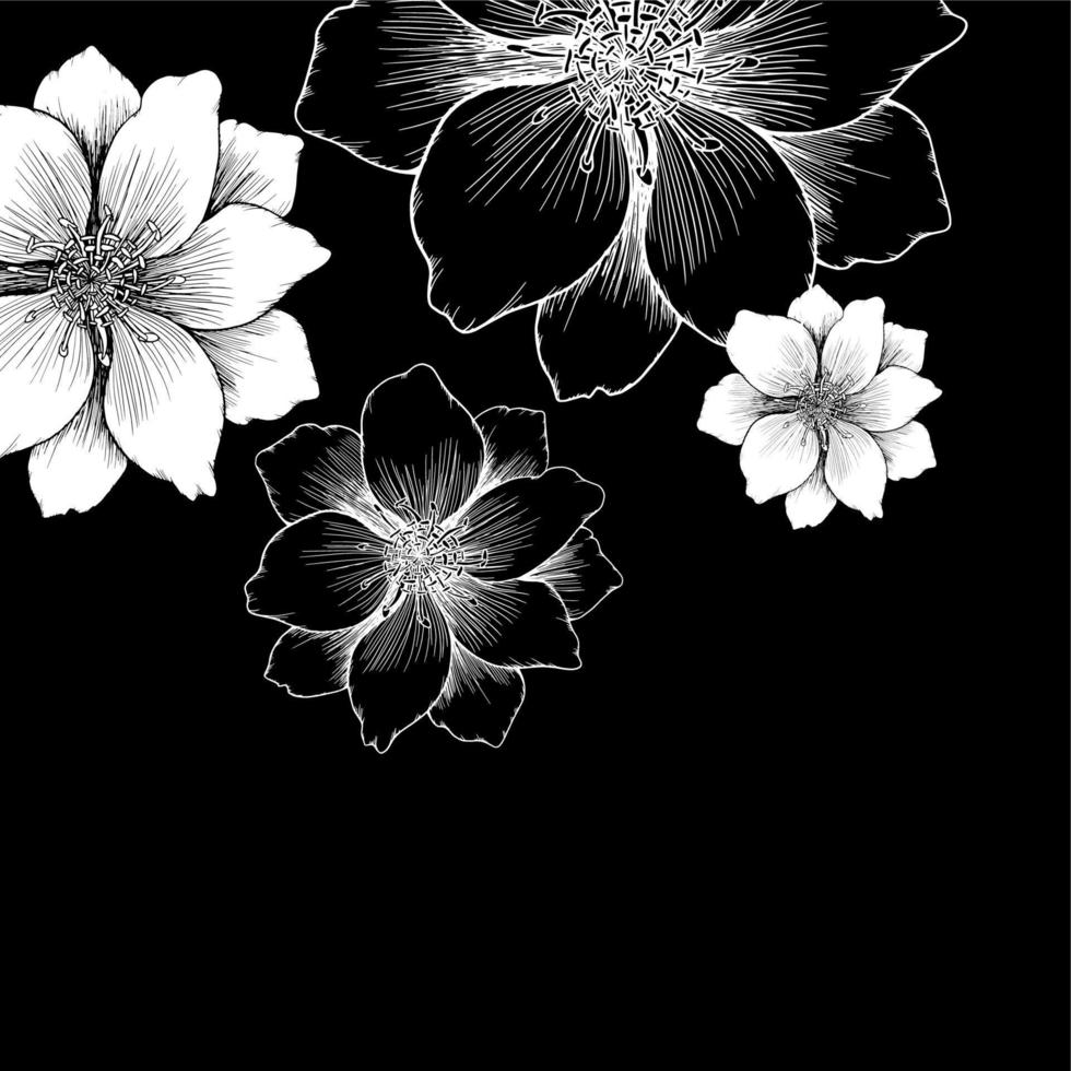 vector drawing and line  flower