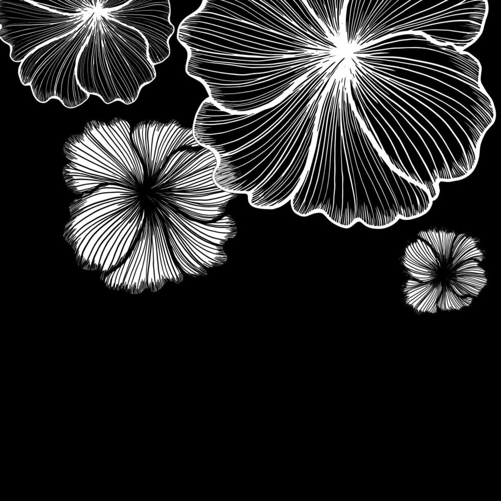 vector drawing and line  flower