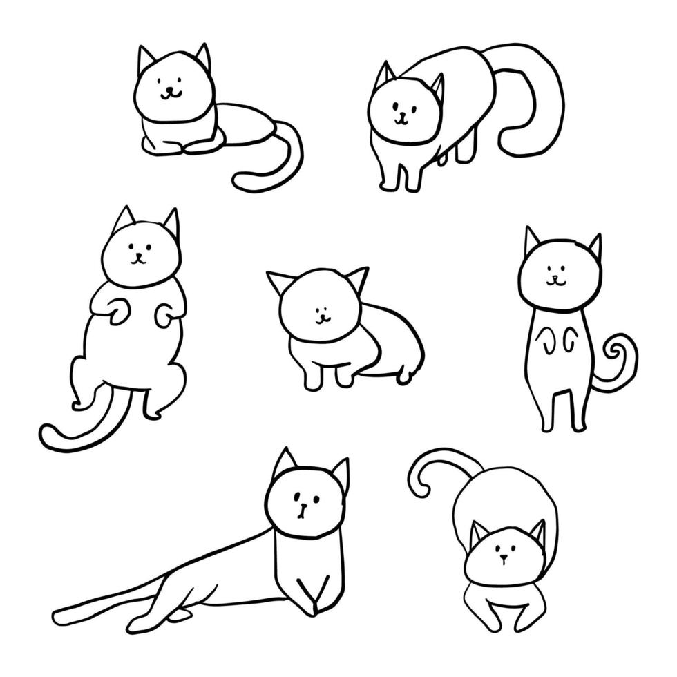 lindo gato vectorial vector