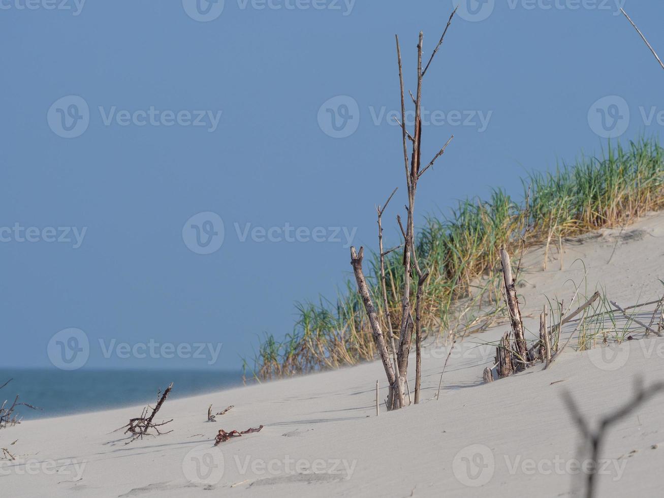 The beach of Juist island in germany photo