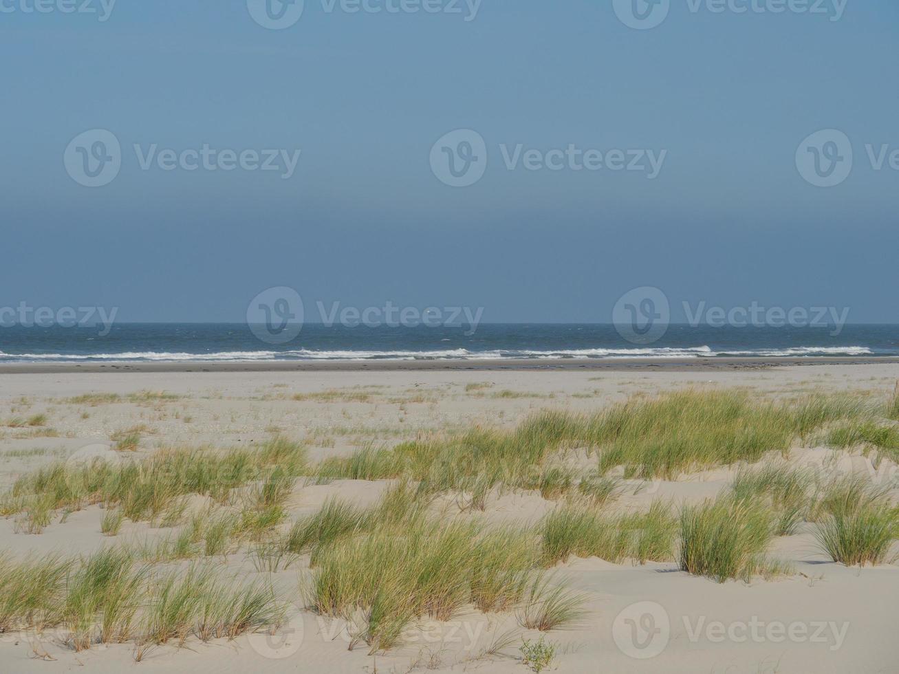 the island of Juist photo