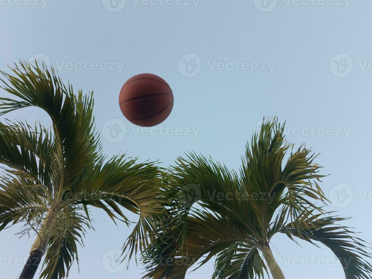 baloncesto en el aire con palmeras foto
