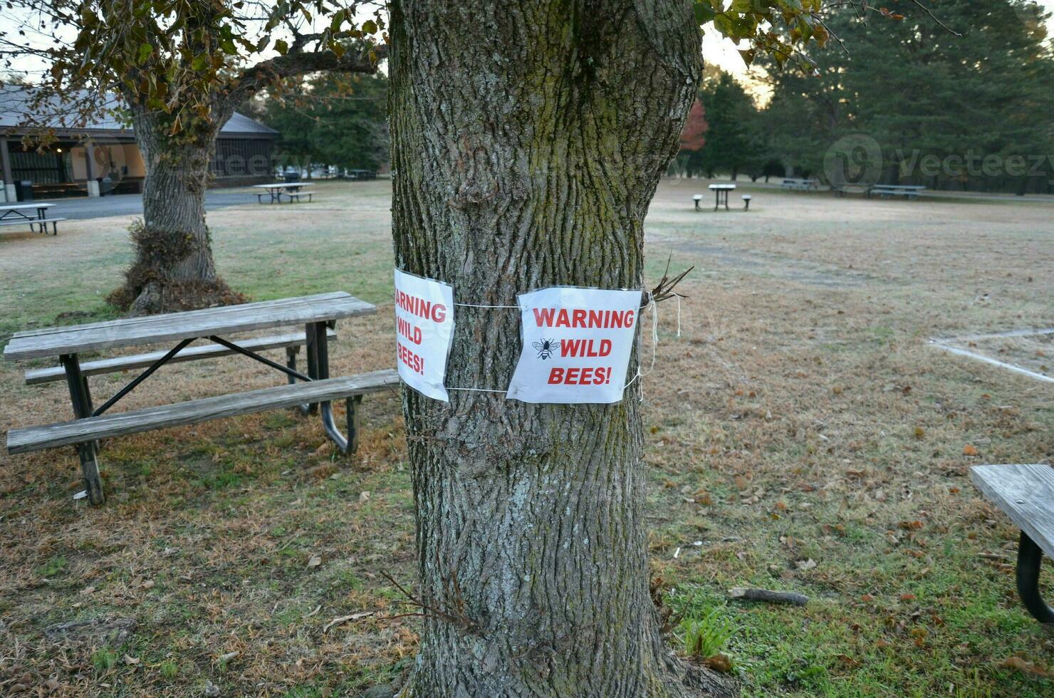 warning wild bees sign on tree trunk with table photo