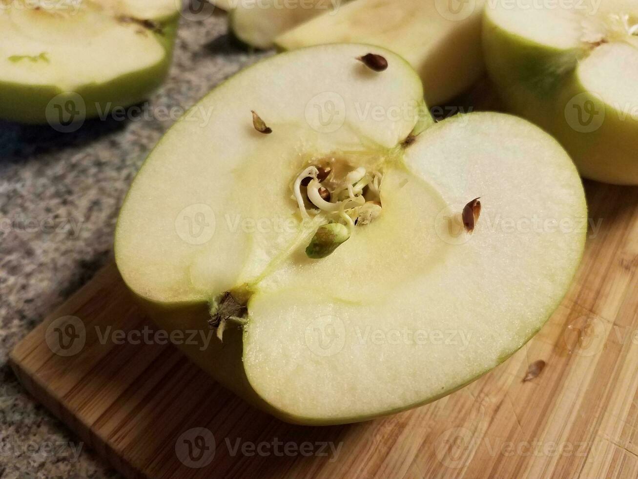 apple on wood cutting board growing a sprout photo