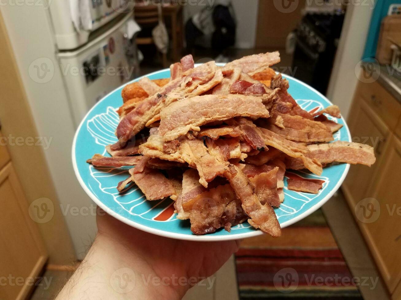 hand holding pile of bacon meat and chicken roll on blue plate photo