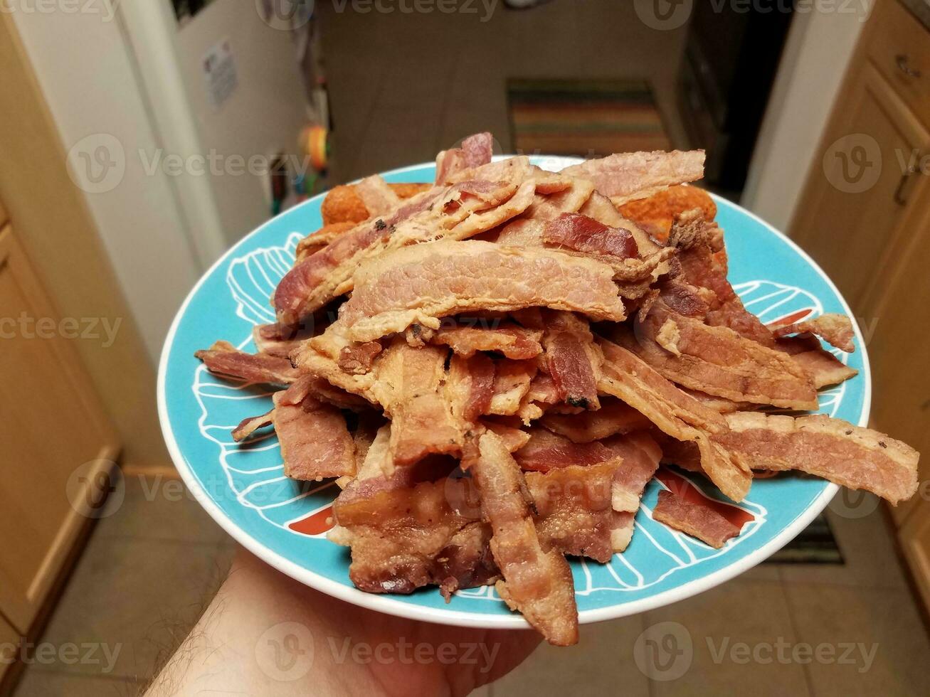 hand holding pile of bacon meat and chicken roll on blue plate photo