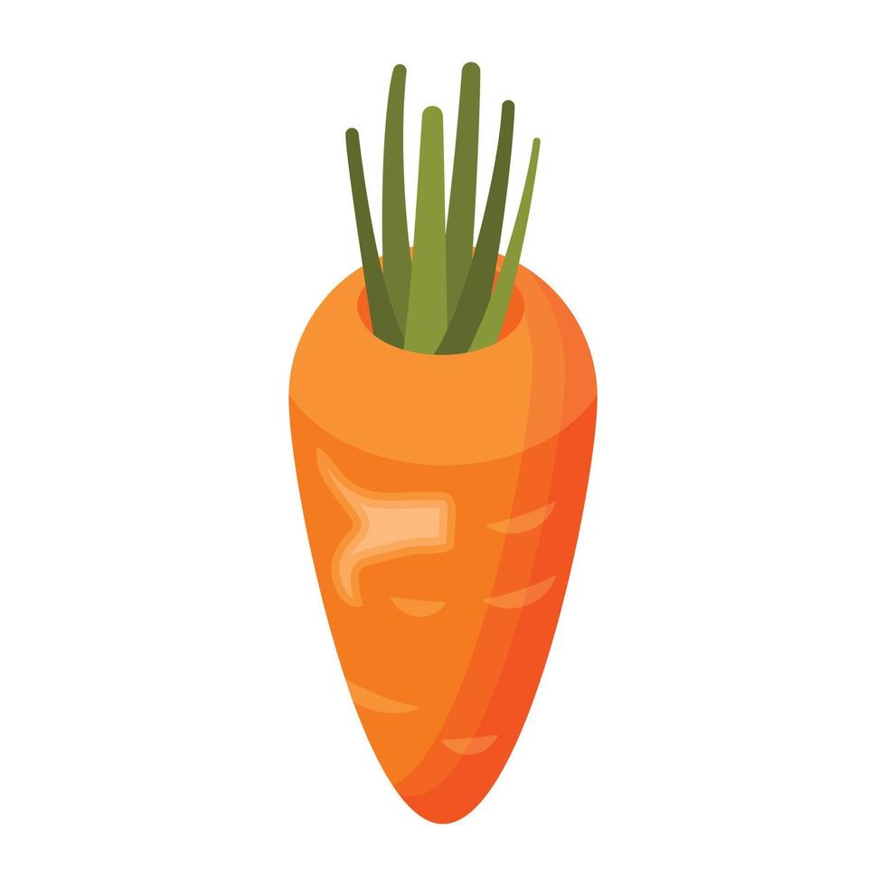 icono isométrico vegetal de raíz de zanahoria vector