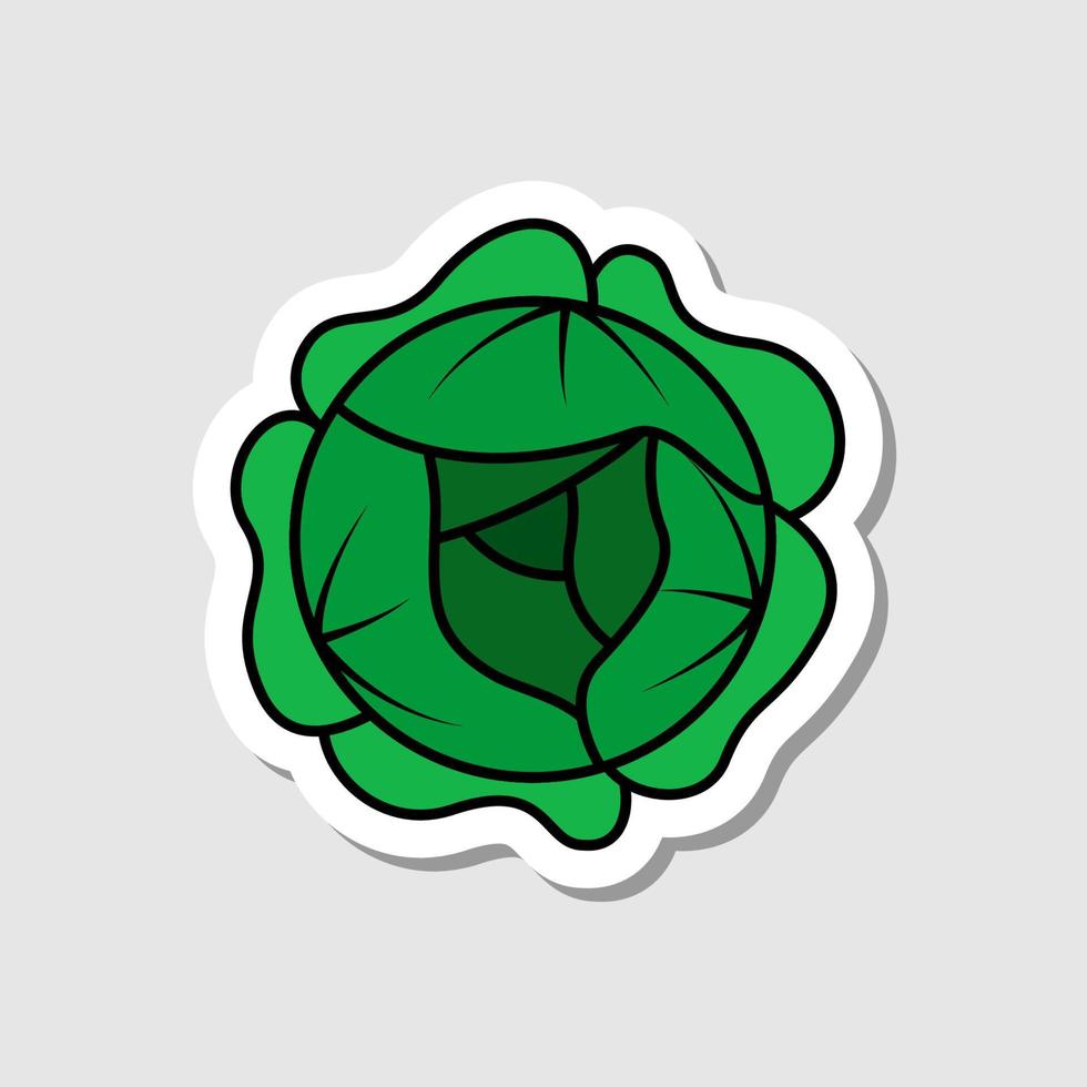 Vector cabbage sticker in cartoon style. Isolated vegetable with shadow. Flat simple icon with black lines.