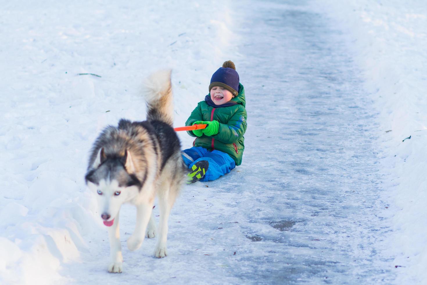 Happy boy play with husky dog in winter park full of snow photo