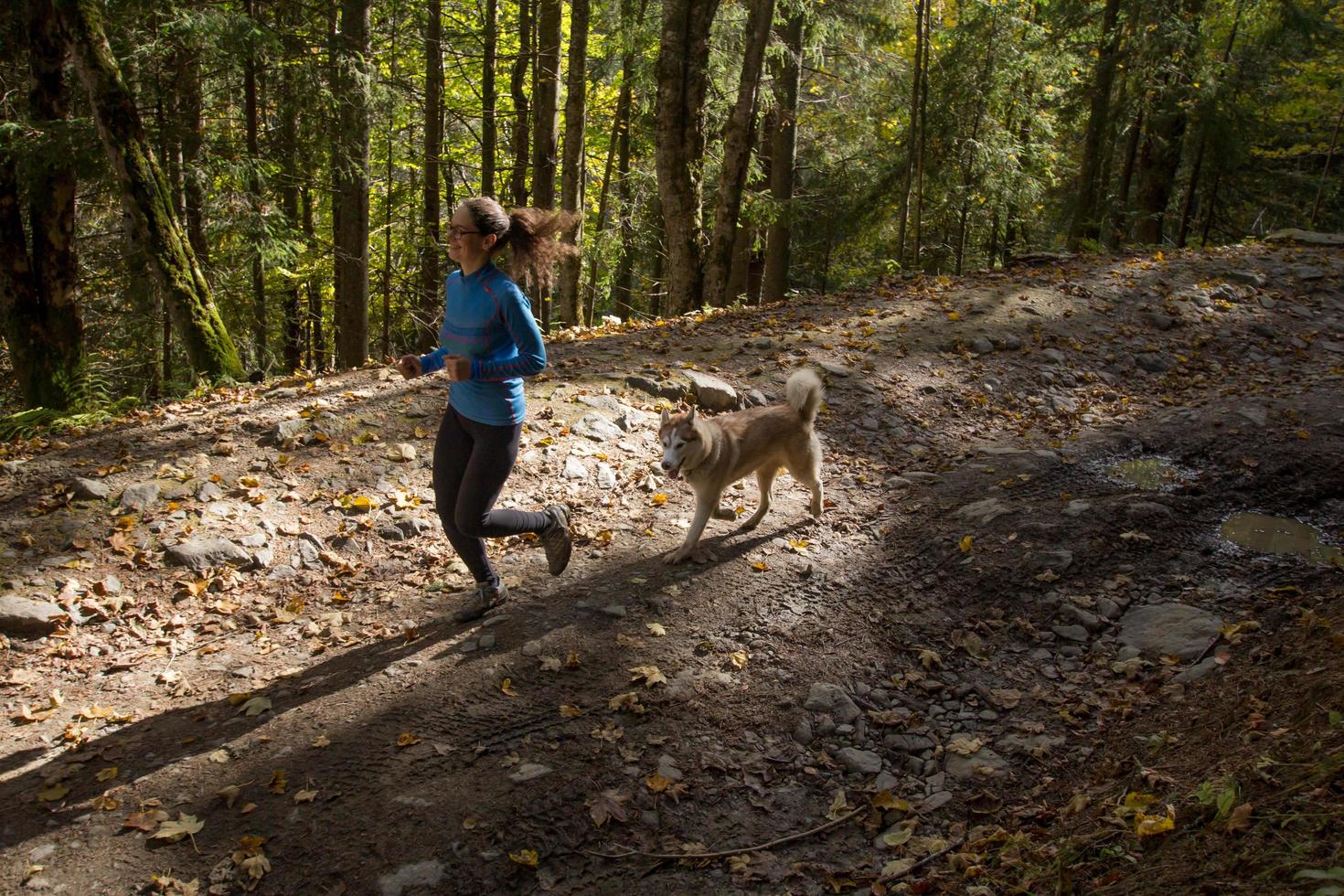 young female runner training in autumn forest with dog photo