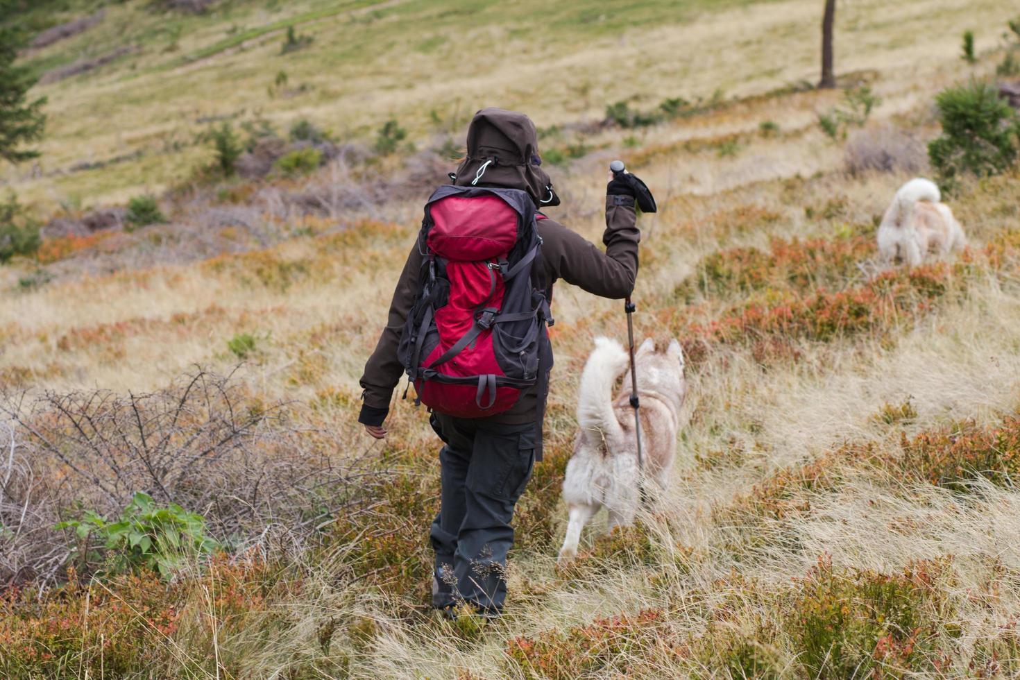 young woman hiker in autumn forest photo