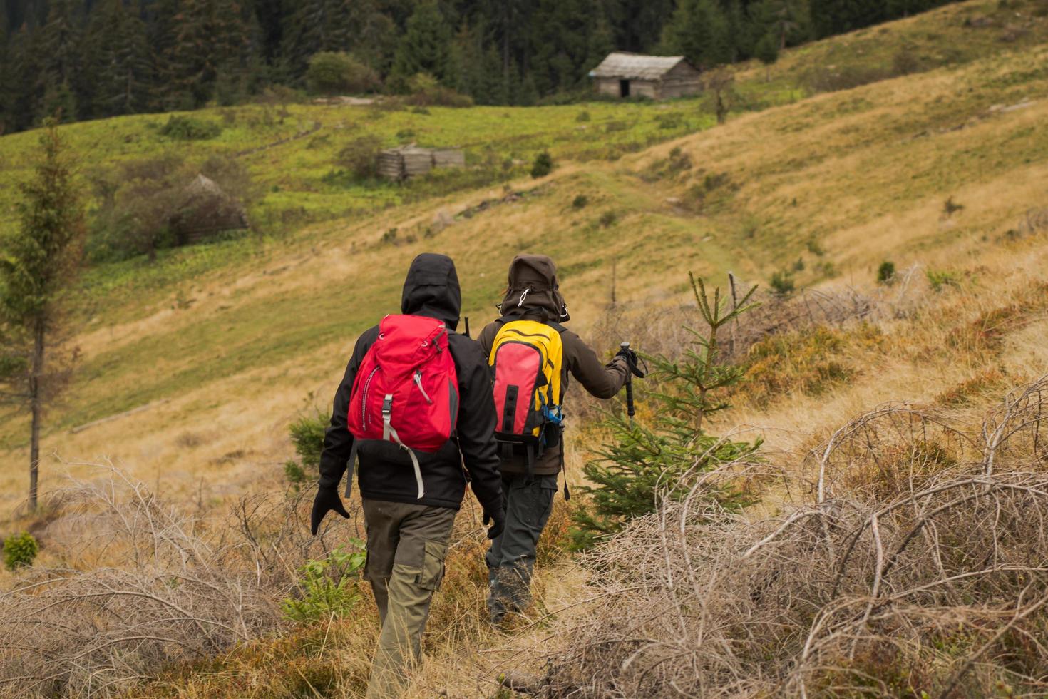 Young couple hikers with thermos cups in forest, travelers in mauntains drinking tea or coffee photo