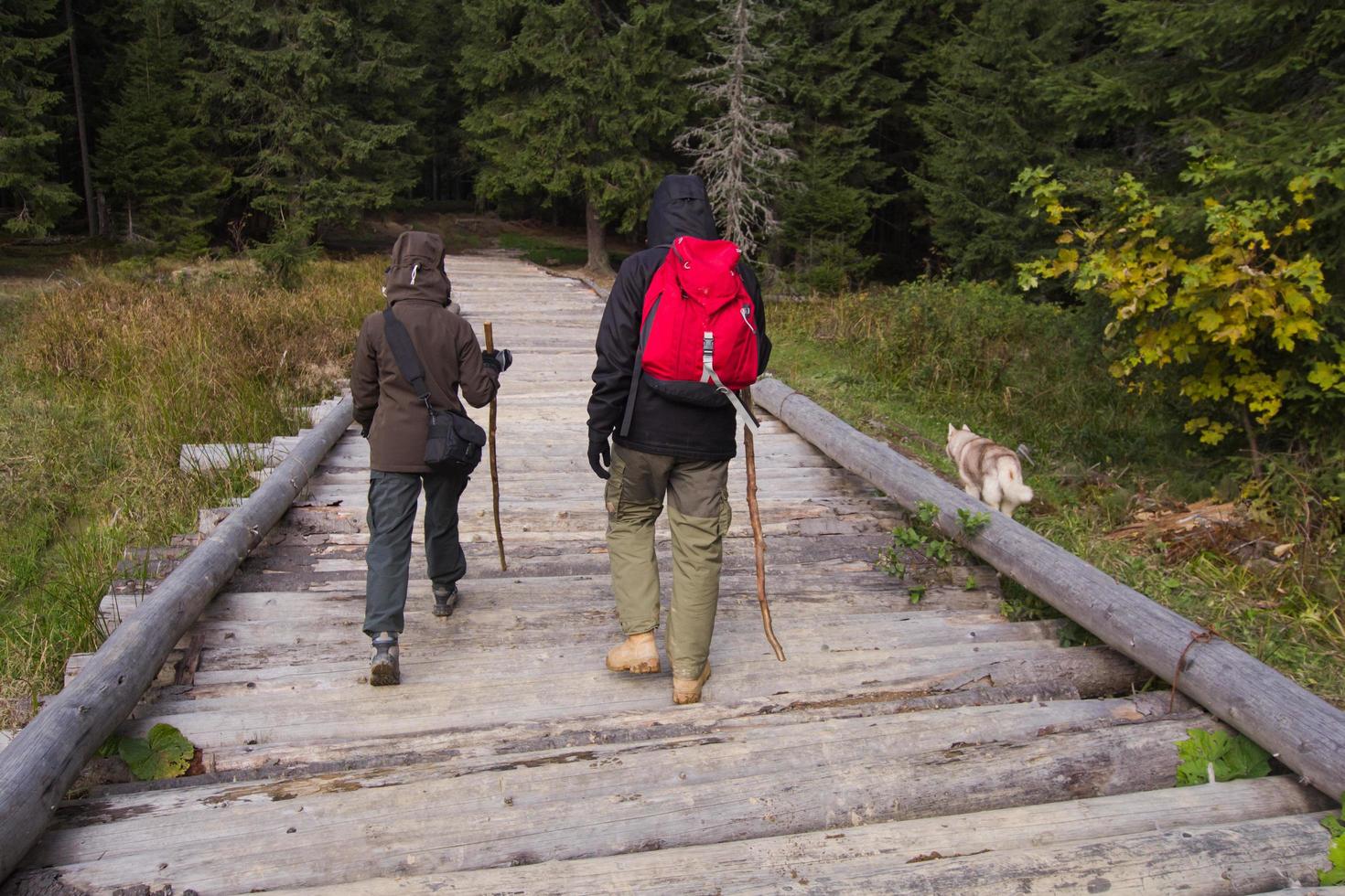 pareja joven excursionistas con tazas termos en el bosque, viajeros en mauntains bebiendo té o café foto