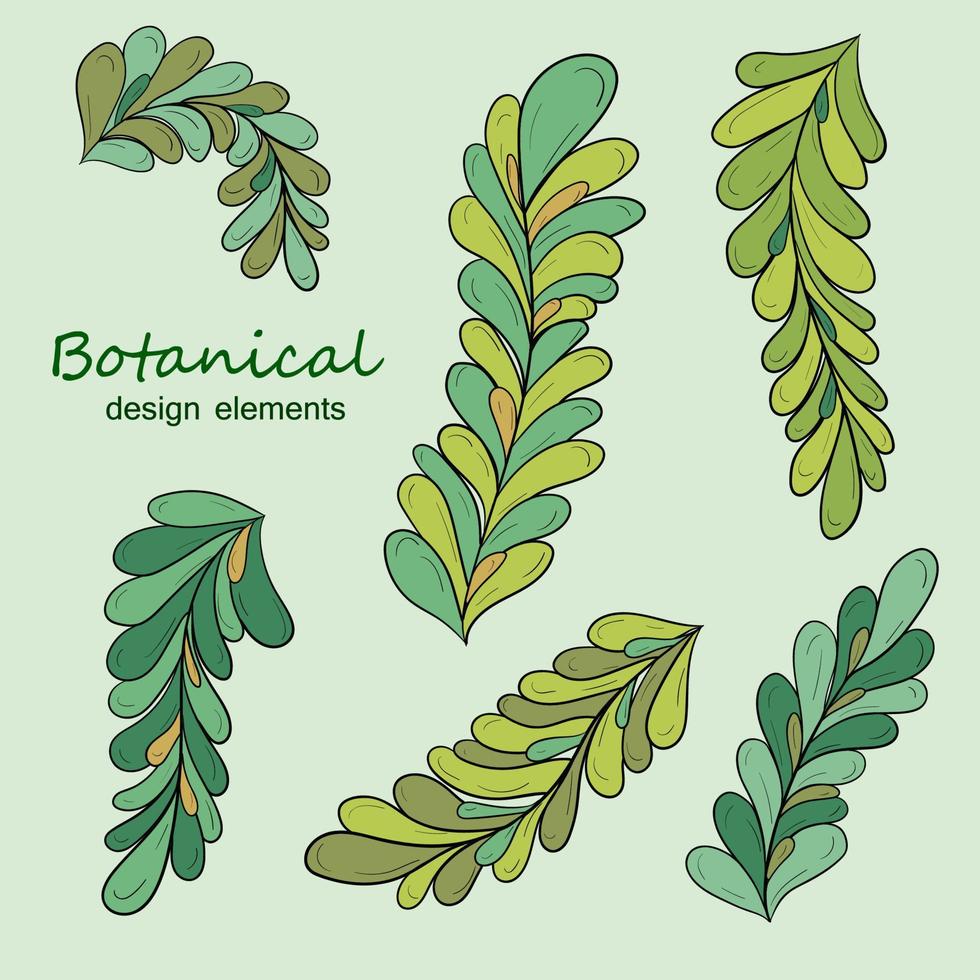 Sketch of branches with leaves vector