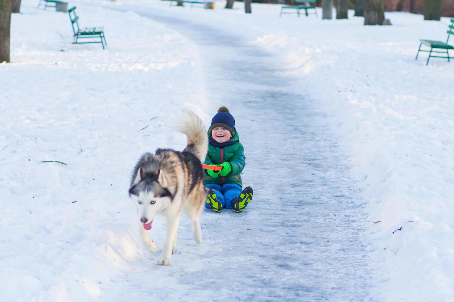 Happy boy play with husky dog in winter park full of snow photo