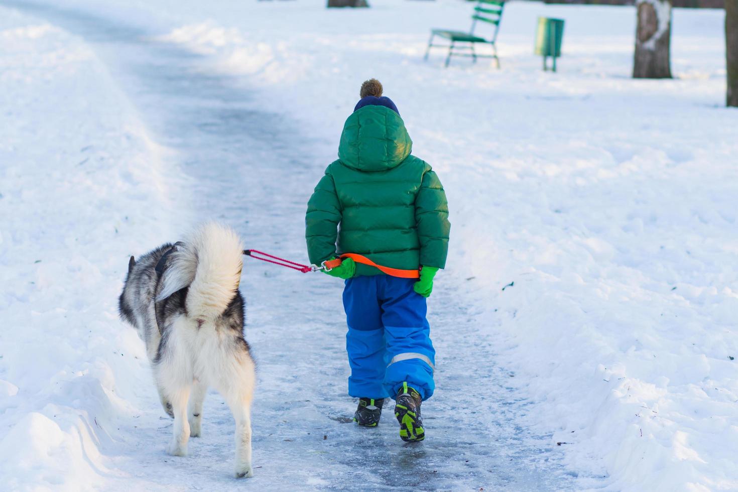 Happy boy play with husky dog in winter park full of snow photo