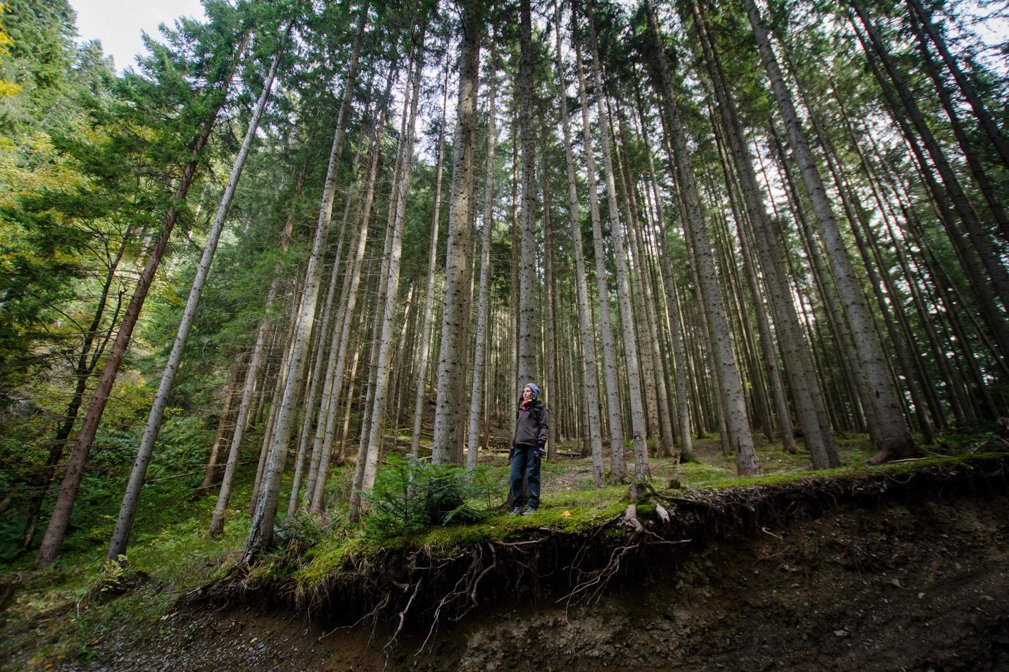 Excursionista femenina con mochila caminando por los caminos de las montañas, fondo del bosque otoñal foto