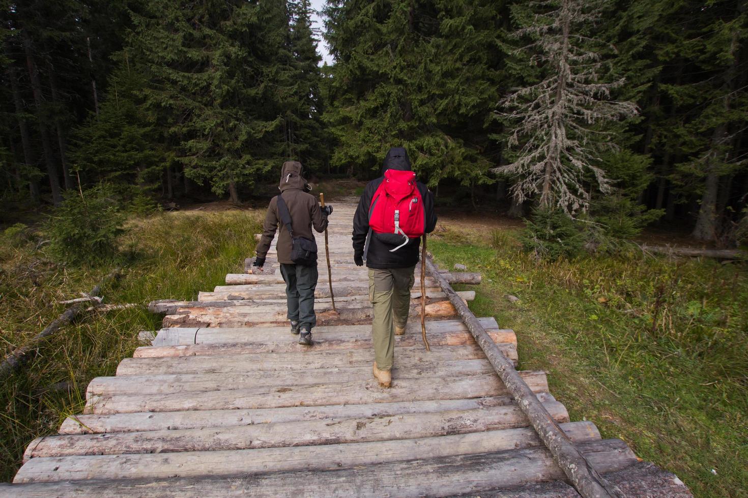 Young couple hikers with thermos cups in forest, travelers in mauntains drinking tea or coffee photo