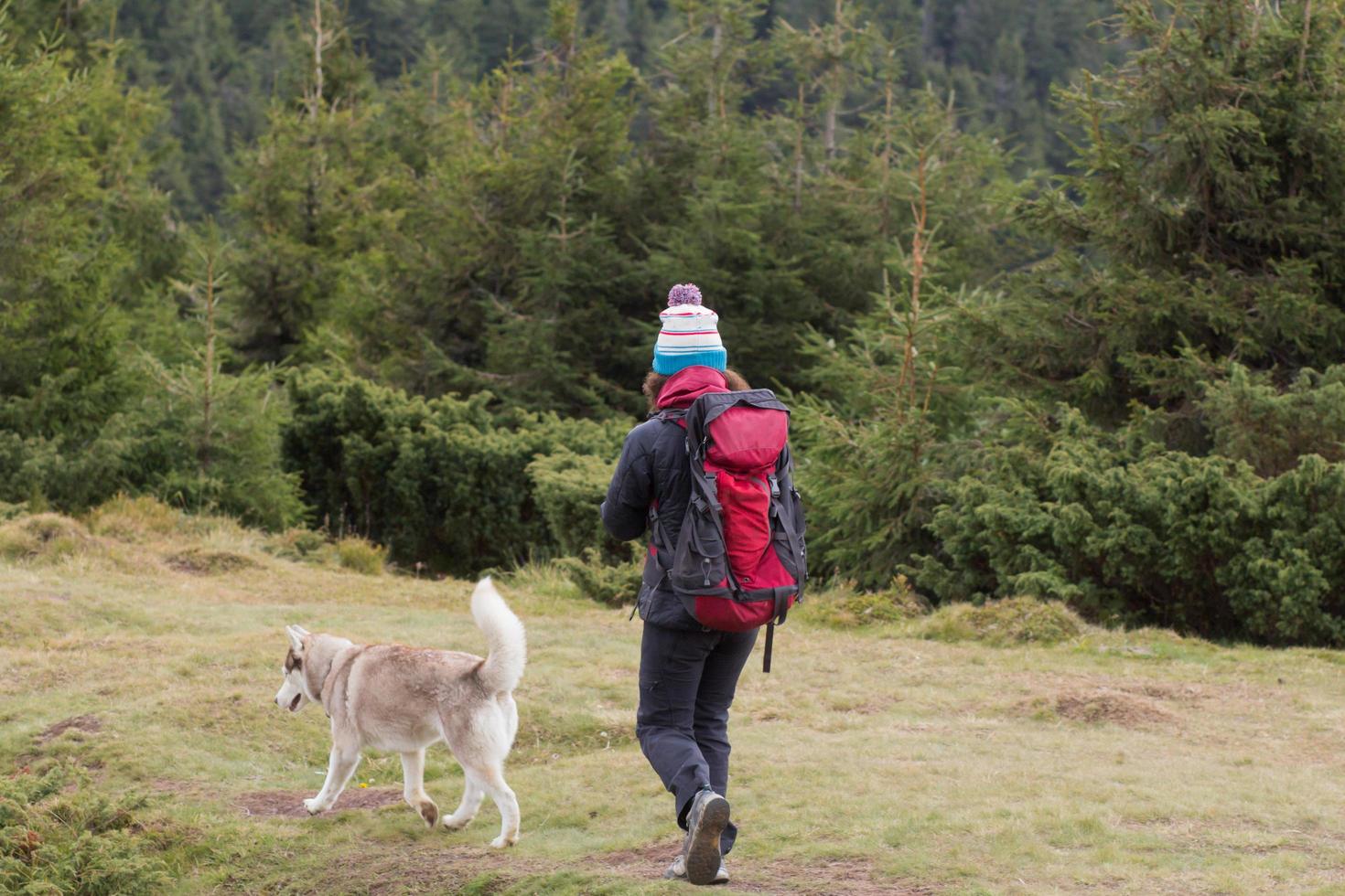 young woman hiker in autumn forest photo