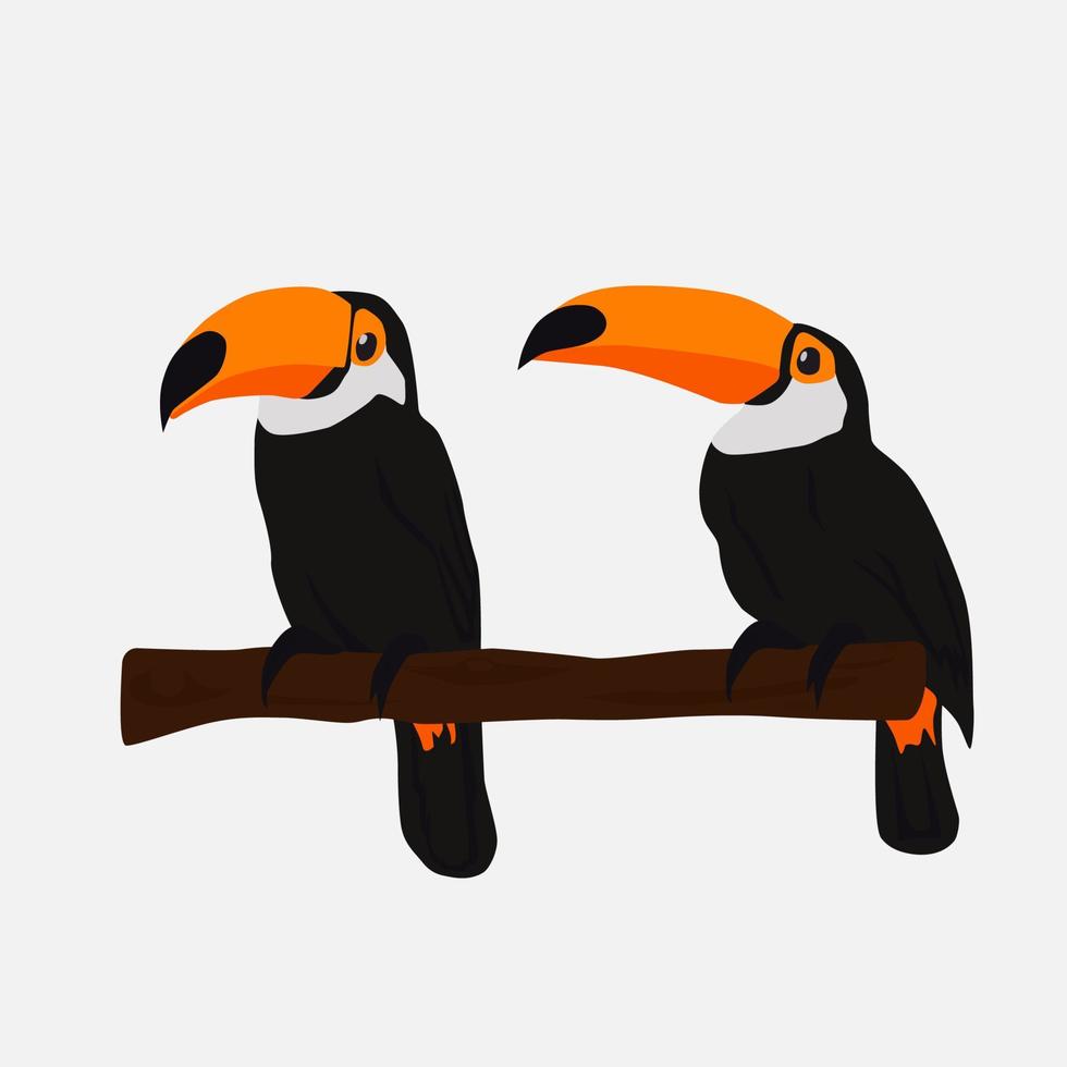 A couple of toucans sitting on a branch. vector