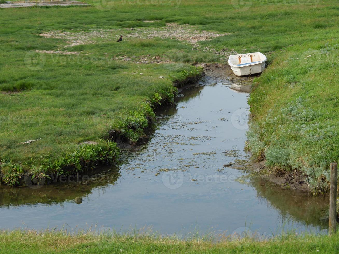 hallig hooge en el mar del norte alemán foto