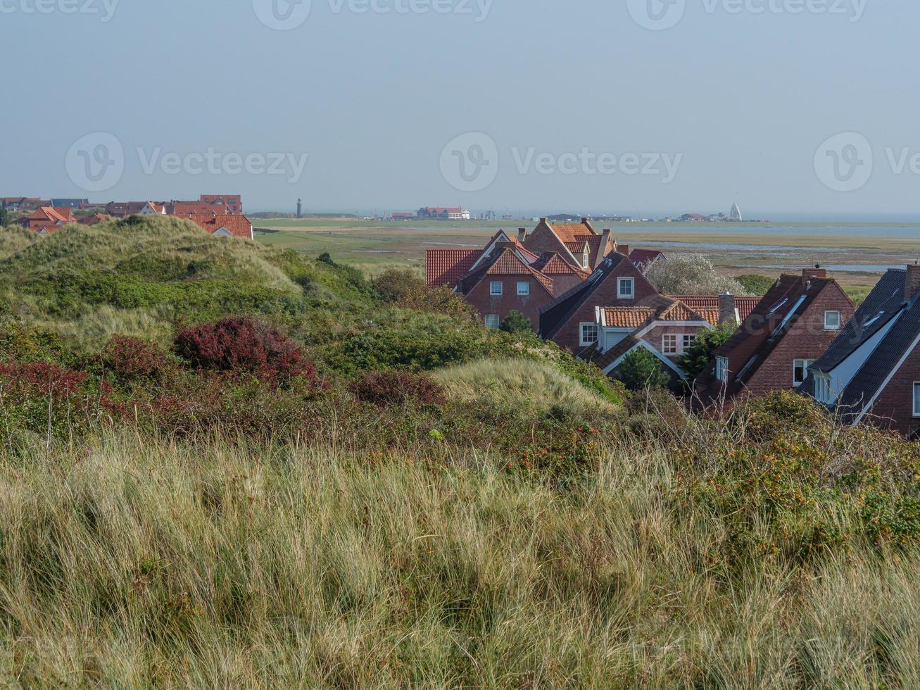 the island of Juist photo