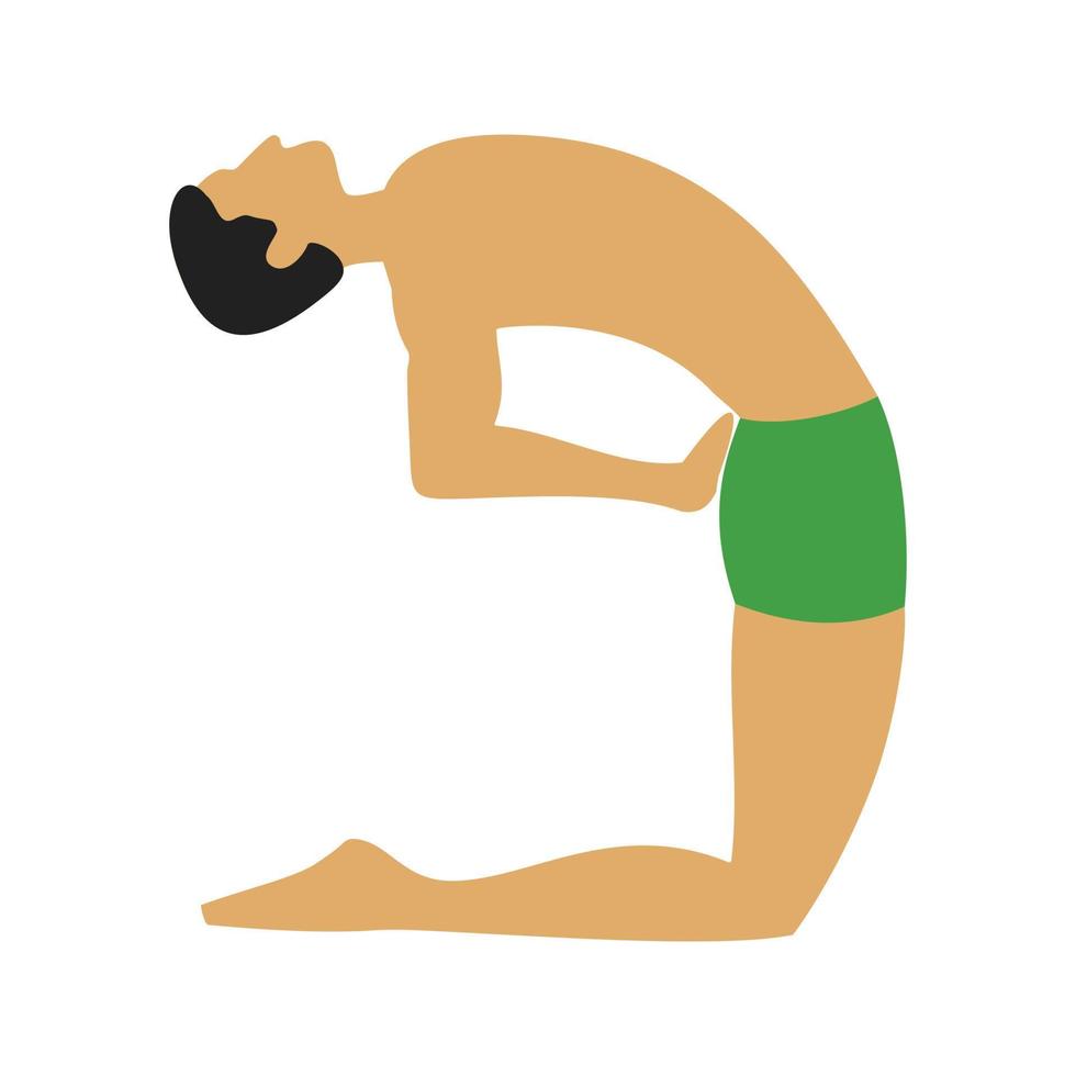 Camel Pose II Flat Multicolor Icon vector