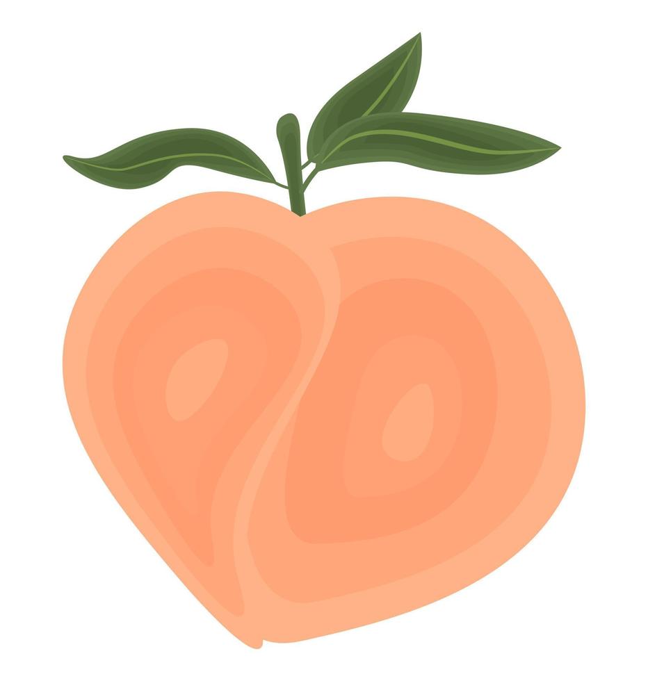 Juicy summer illustration of a peach, a tropical fruit with leaves. Cute and simple style. vector