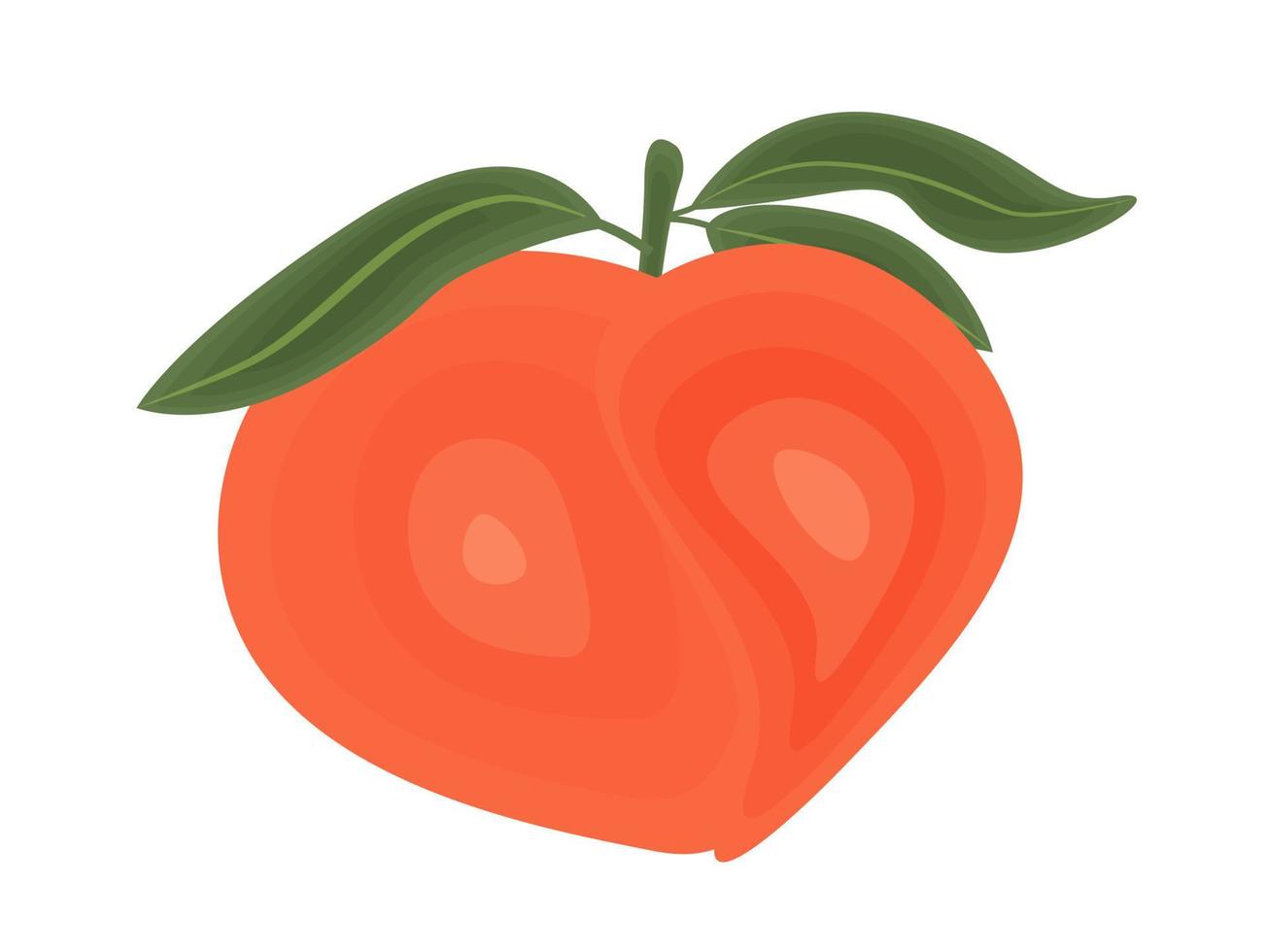 Juicy summer illustration of a peach, a tropical fruit with leaves. Cute and simple style. vector