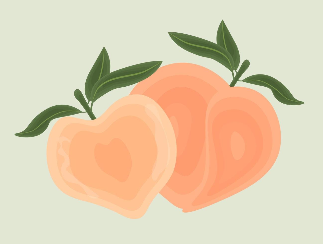 Juicy summer illustration of a peach, a tropical fruit with leaves. Cute and simple style. vector